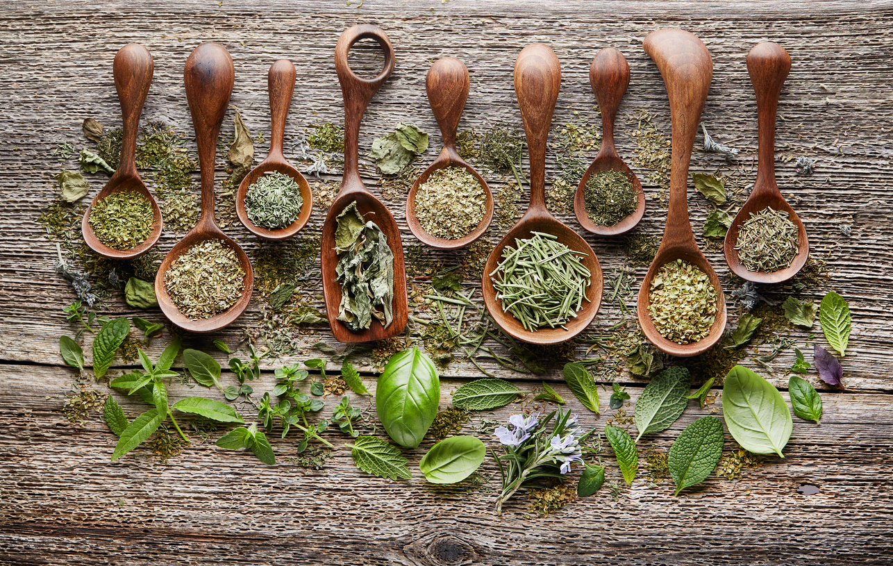 Assorted dried culinary herbs in wooden spoons
